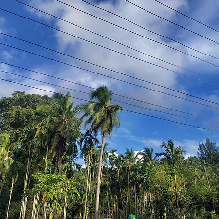 Hilton Garden Homestay Port Blair Buitenkant foto