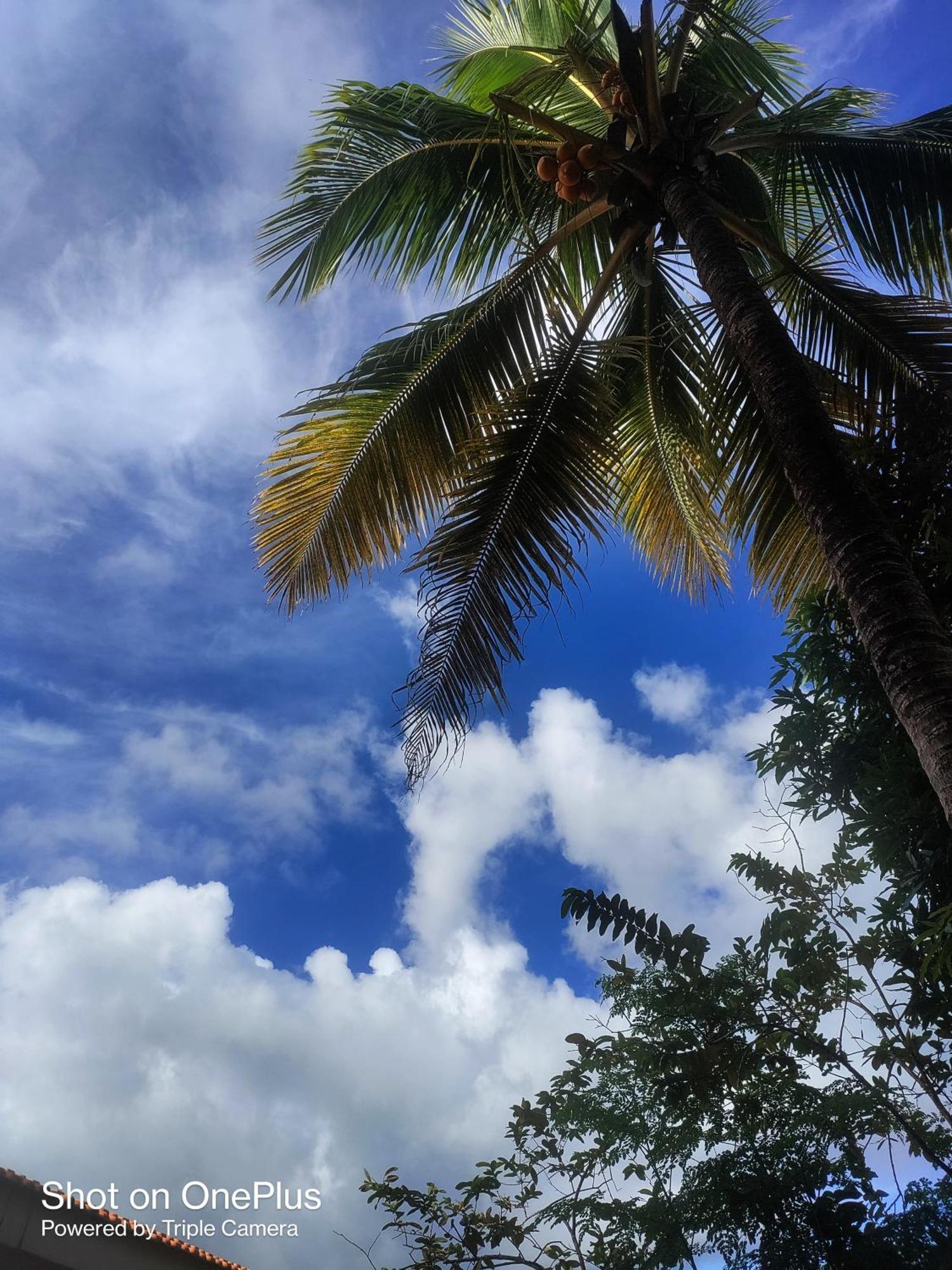 Hilton Garden Homestay Port Blair Buitenkant foto
