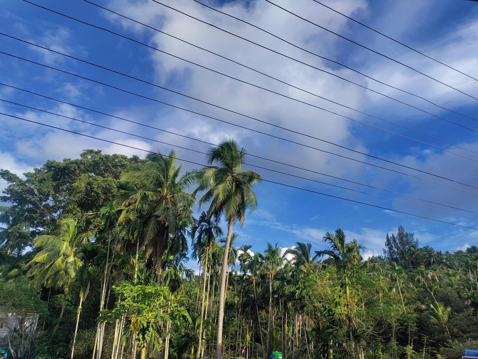 Hilton Garden Homestay Port Blair Buitenkant foto